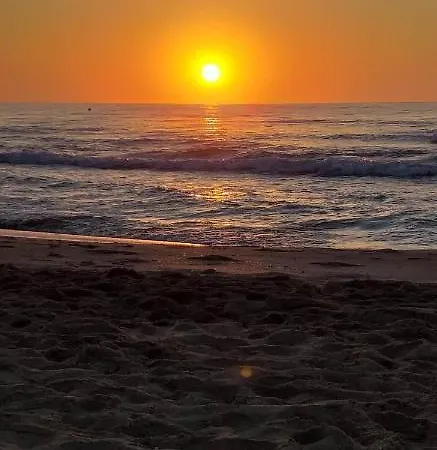 Con Terraza La Mata * La Mata (Torrevieja)
